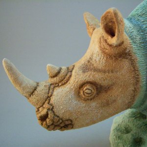 The Lone Rhinoceros…there ain’t one hell of a lots of us