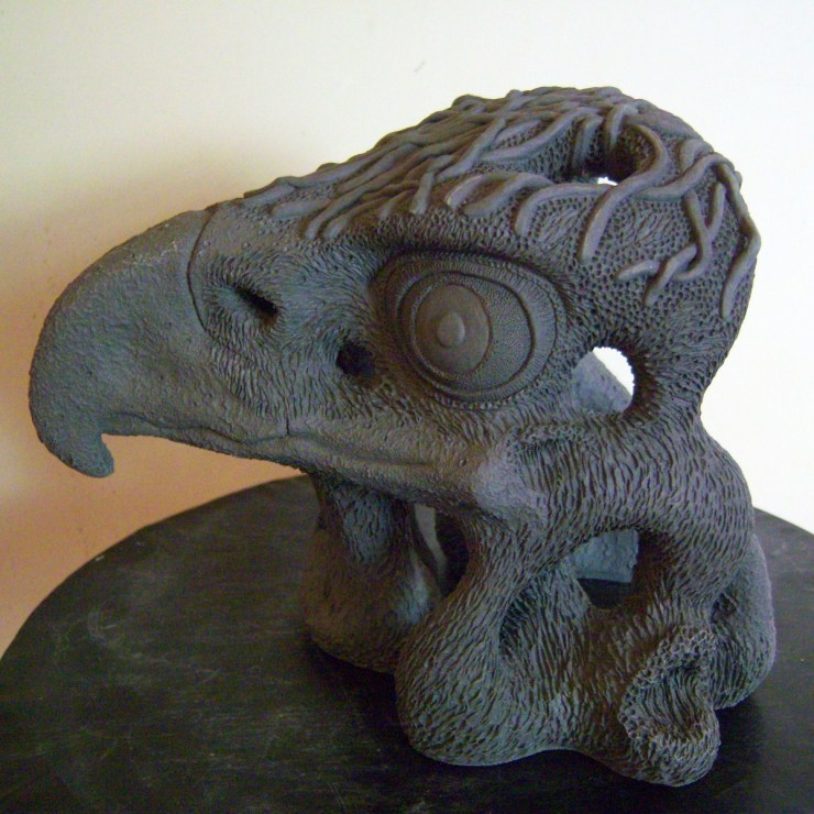 The Eagle & the Hawk…share in the freedom i feel when i fly